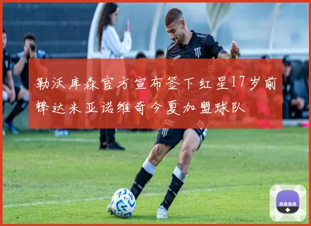 勒沃库森官方宣布签下红星17岁前锋达米亚诺维奇今夏加盟球队